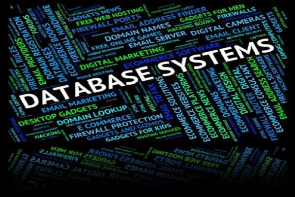 The Significance of Having a Database System for Processing Bulk Data