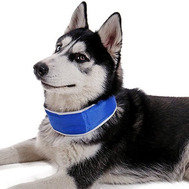 Cooling collar