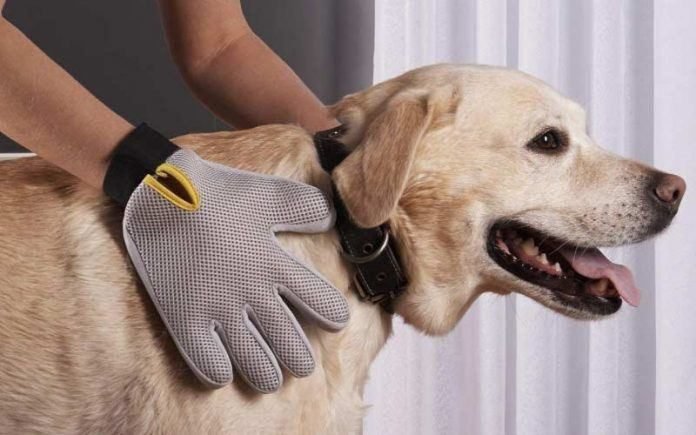 Grooming gloves