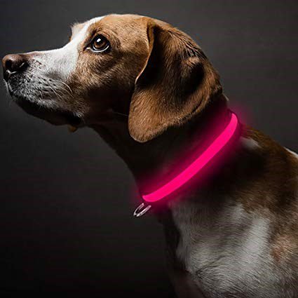 Nite Ize light up dog collar