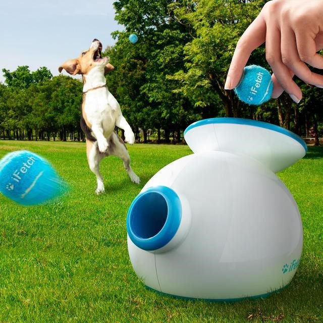 iFetch
