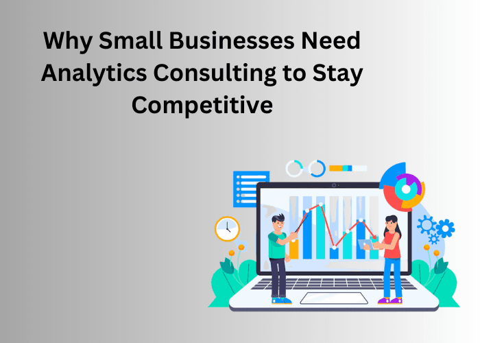 Why Small Businesses Need Analytics Consulting to Stay Competitive?